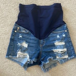 Maternity Shorts